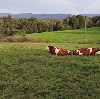 Le Pré d'Oro (circuit bis) - AMAGE