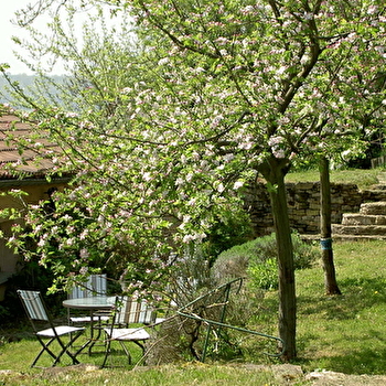 Le Verger sous les Vignes - VILLEFERRY