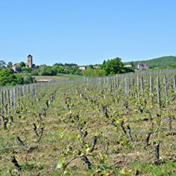 Domaine du Mont Epin - DAVAYE