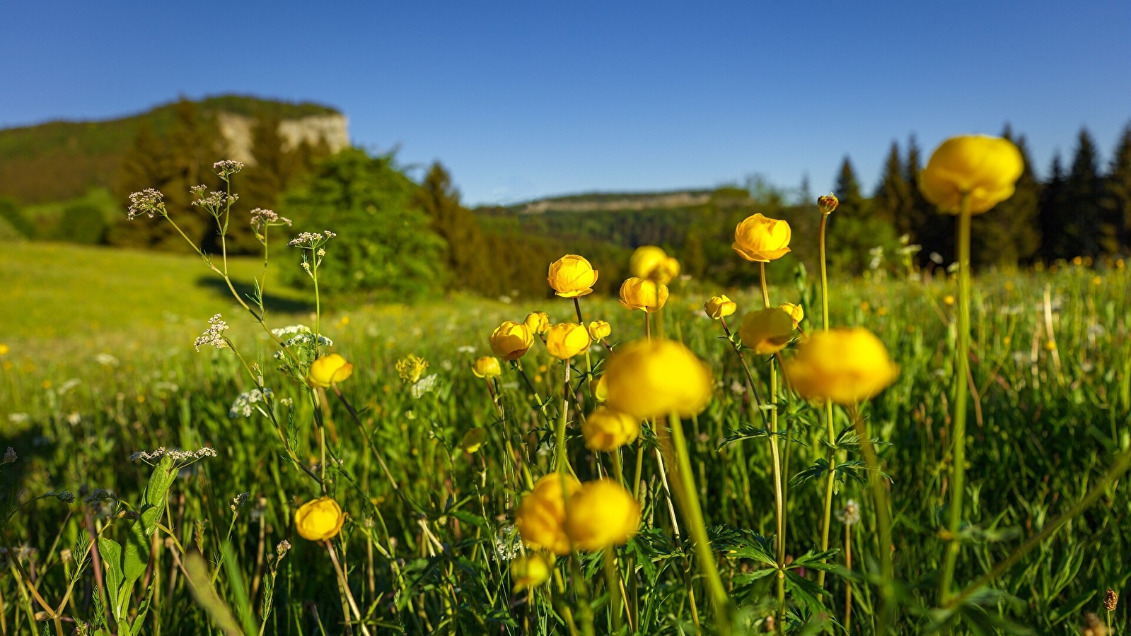 Tour du Mont Fier - 21R