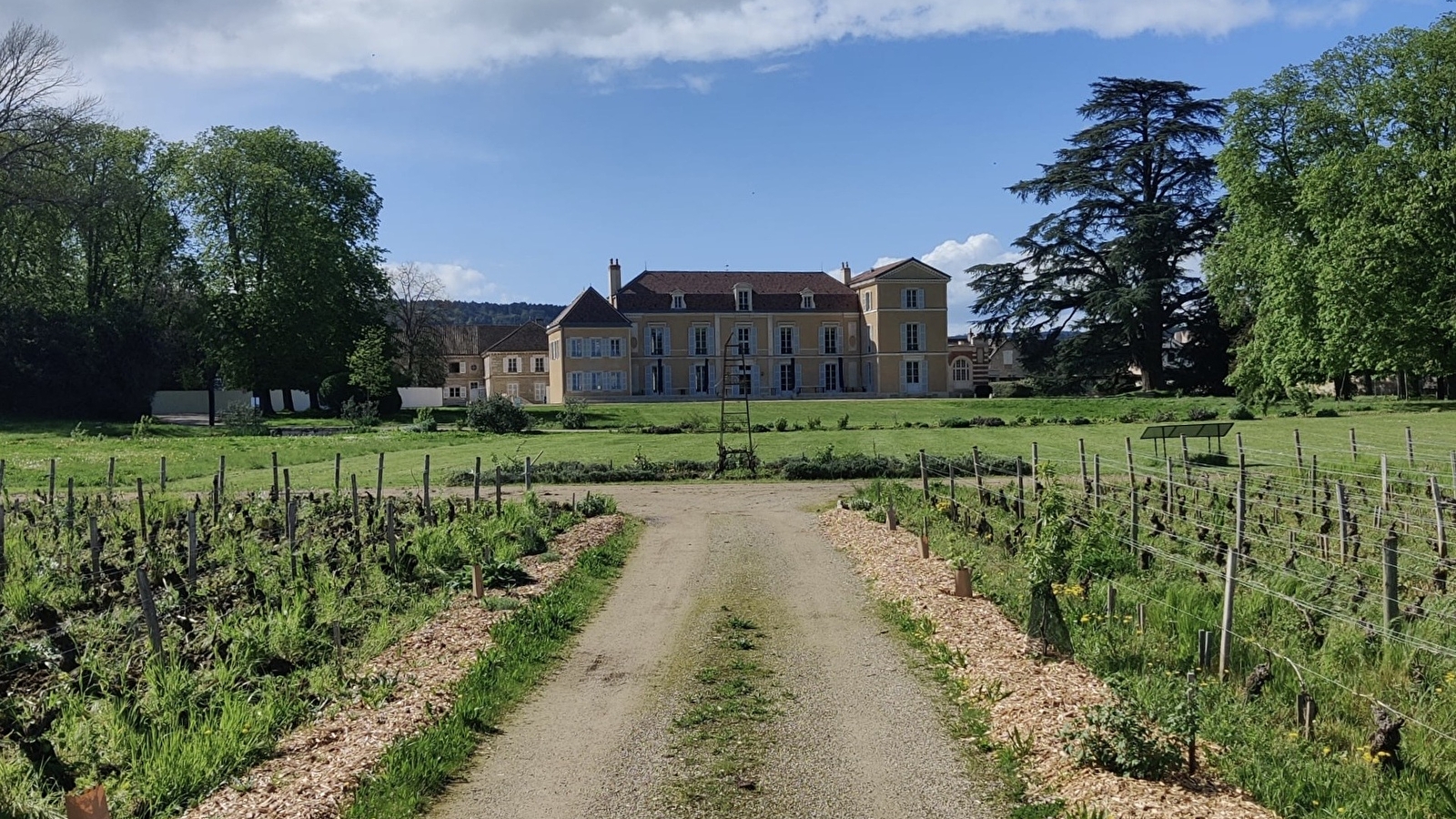 Château de Meursault - Dégustation 'Vente des Vins 2025' de 6 vins de la Côte de Beaune