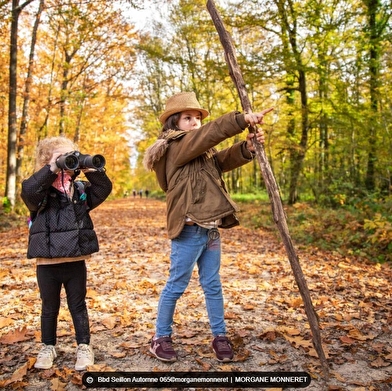 Balade en forêt domaniale de la Rena