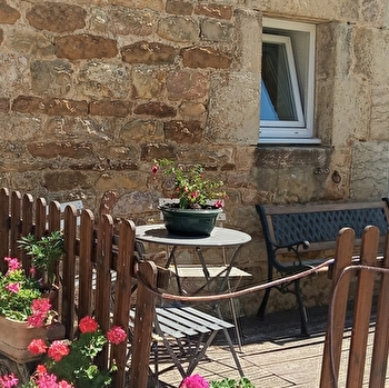 Bleuet - VILLETTE-LES-ARBOIS