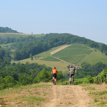 Sentiers VTT - SAINT-JEAN-LE-VIEUX