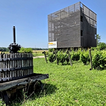 La Caborde, aire viti-culturelle - BEAUFORT-ORBAGNA