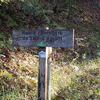 Randonnée - Monument de la RAF borne des 3 cantons