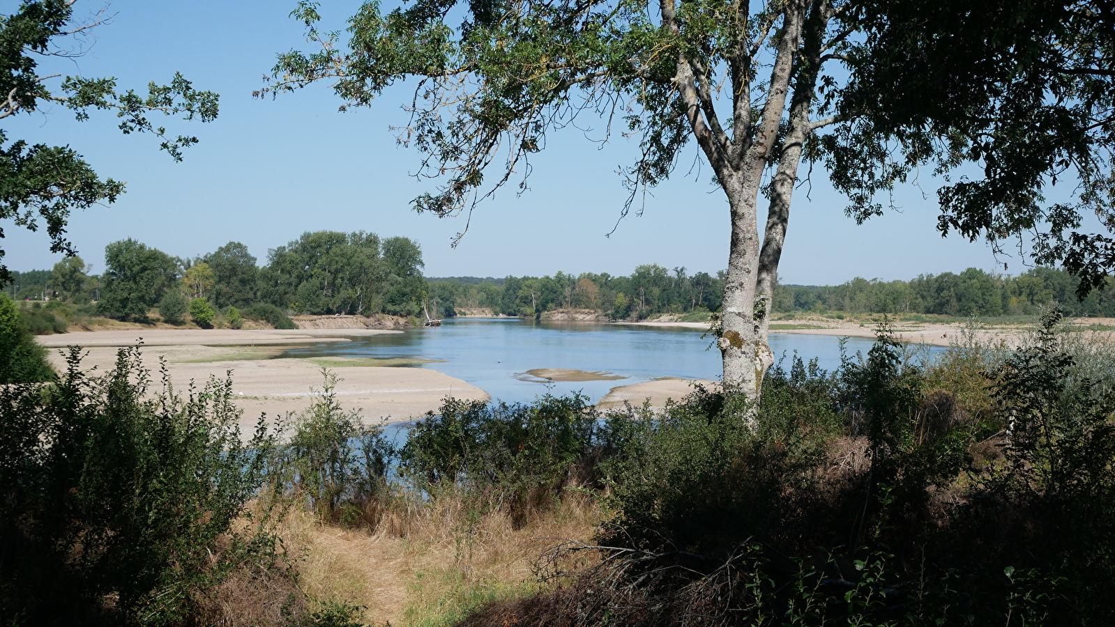 Balade famille : Sentier-nature du Passeur du Bec d'Allier