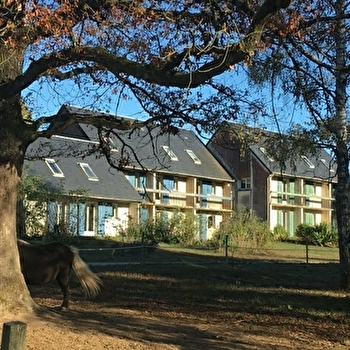 Domaine du Bois du Loup - SAINT-AGNAN