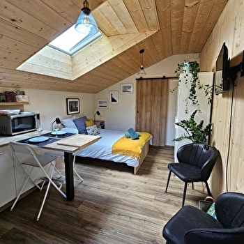 Sous le Saule - LES PREMIERS SAPINS