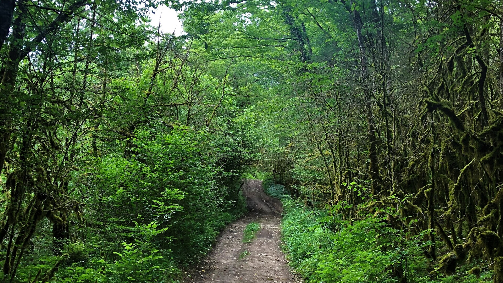 Parcours gravel rouge - Les Enfants du Marais - Espace FFC Ain Forestière