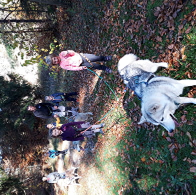 Séjours classes découvertes au Centre Pémonval
