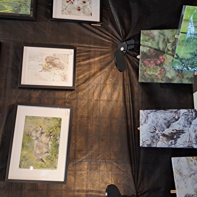 Espace artisanal Bois d'Amont