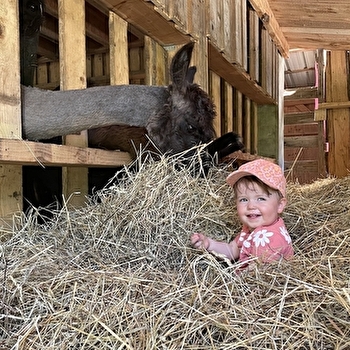 Lama Loisir Mamirolle - MAMIROLLE