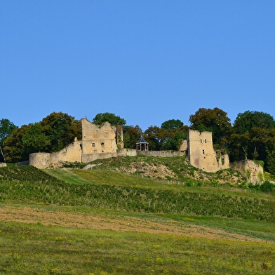 Boucle 11 : En Bresse-Revermont