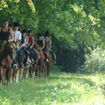 Rejoins la joyeuse bande des poneys de Prunevaux - NOLAY