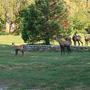 Château 4p - LA CHATELAINE