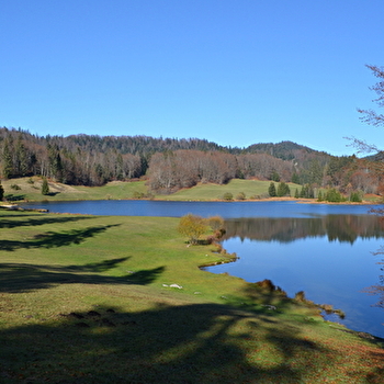 Parcours VTTAE 26 bleu - circuit des dinosaures - Espace FFC Ain Forestière - PLAGNE
