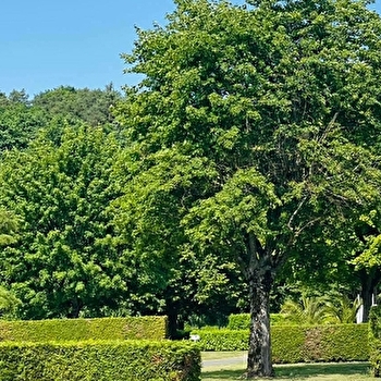 Camping municipal des Grands Ansanges - MANDEURE