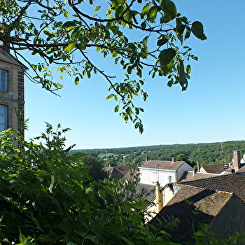 SAINT-SAUVEUR-EN-PUISAYE - SAINT-SAUVEUR-EN-PUISAYE