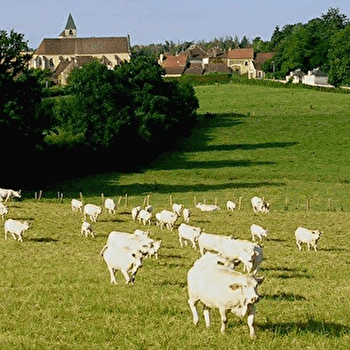 Les Cageots Poyaudins - AMAPP - SAINT-SAUVEUR-EN-PUISAYE