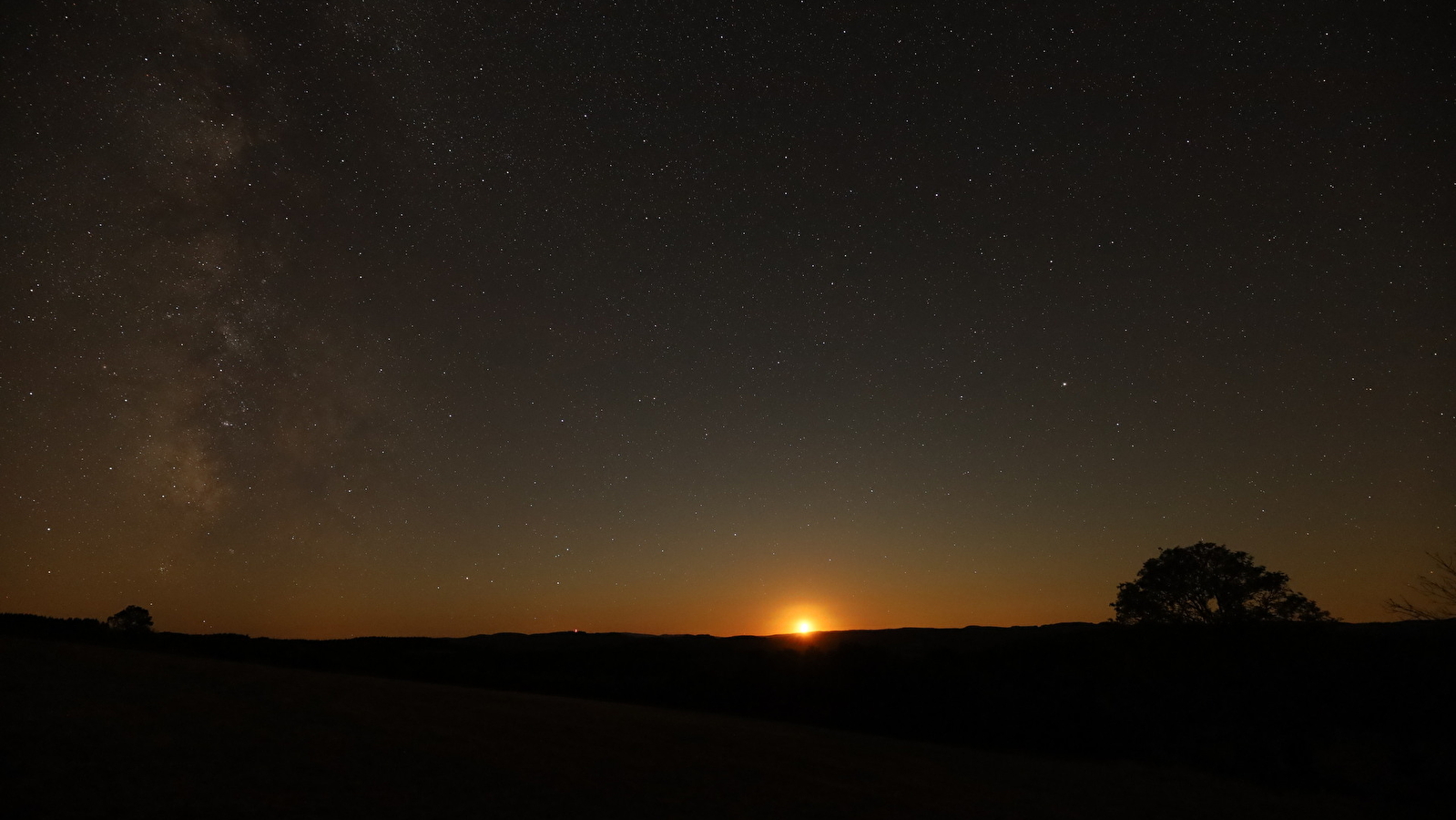 Au cœur de la nuit : la faune de Savilly