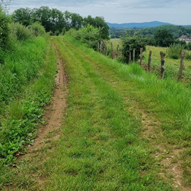 Circuit VTTAE n°9 (rouge) Revers du Revermont - version courte