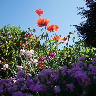 Arboretum Les Feuilles Fleuries