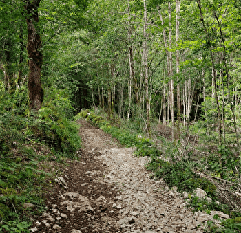 Autour du Désert - 106B - MEUSSIA
