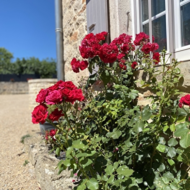 Le Clos de Saint-Jean