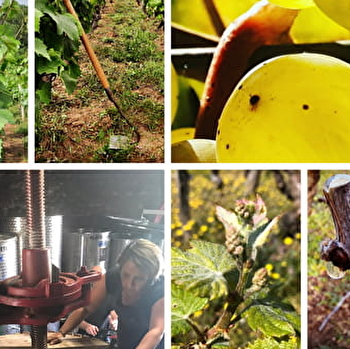 Géraldine Louise - ROSEY