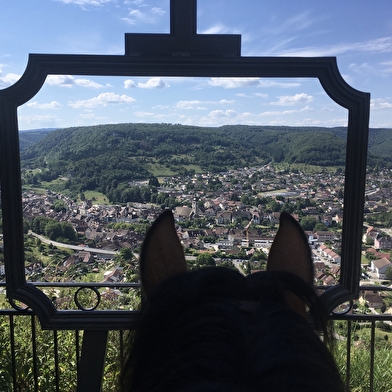 Loue Caval - Éthologie Équitation d'extérieur