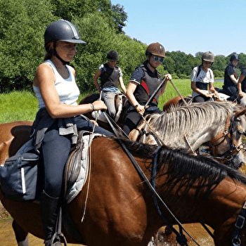 Domaine de l'Esperance - DAMPIERRE-SOUS-BOUHY