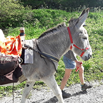 Tri li’Âne - FERTANS