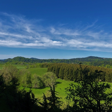 Circuit vélo : Du col du Ballon à la Combe de Léchaud