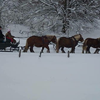 Les Attelages du Grandvaux en hiver - LA CHAUMUSSE