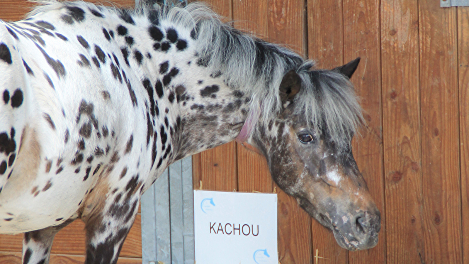 Le Cavaletti Nivernais