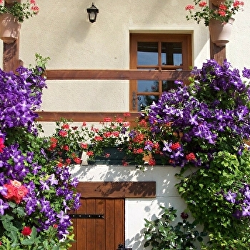 Le Lys - Le Clos de la Perdrix - BELLENOT-SOUS-POUILLY