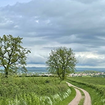 À travers les bocages - SAINT-LAURENT-D'ANDENAY
