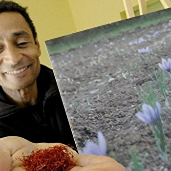 Le Safran Bleu - CHISSEY-SUR-LOUE