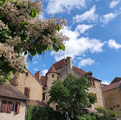 PARAY-LE-MONIAL