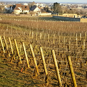 Le Clos des Mazières - Laurent Georges - BROCHON