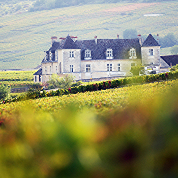 Entre Terre et Cave : l’Art de Vivre en Bourgogne - NUITS-SAINT-GEORGES