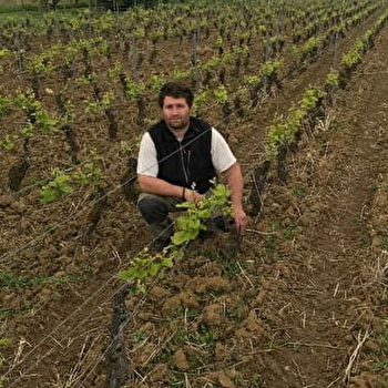 Legou Guillaume - GILLY-LES-CITEAUX