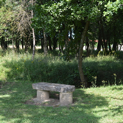 Aire de pique-nique - Aire de Loisirs