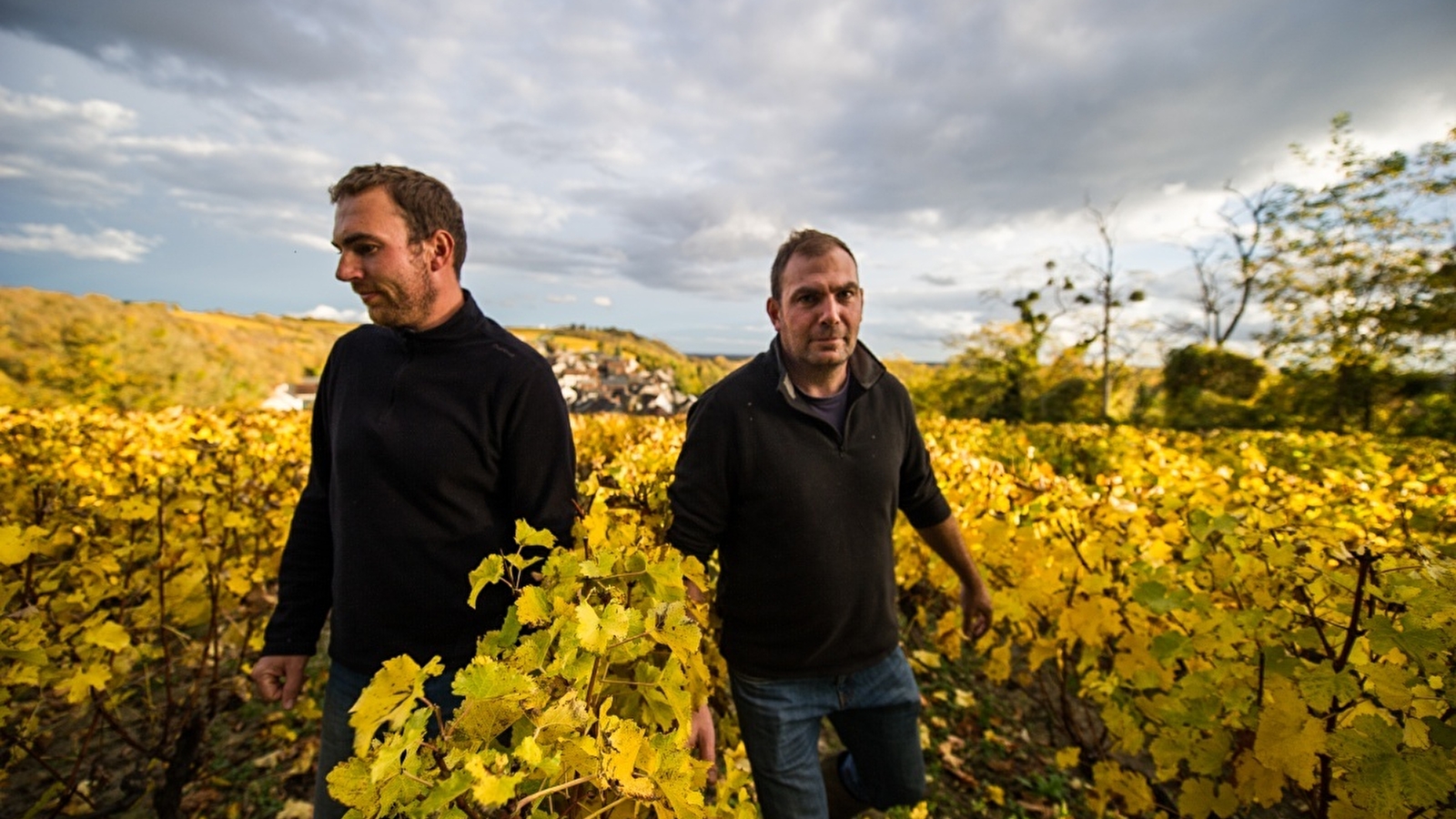 Domaine des Rabichattes