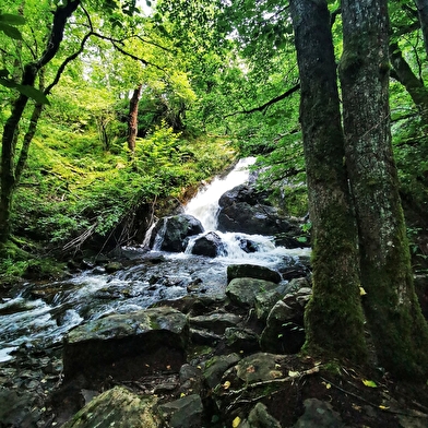 Les Gorges de La Canche
