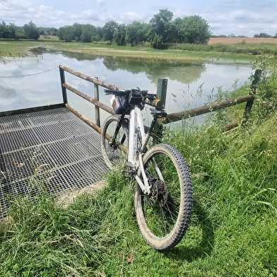 Liaison VTT-VTC (L5) St Trivier de Courtes - Romenay