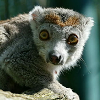 Le Printemps de la Biodiversité - BESANCON