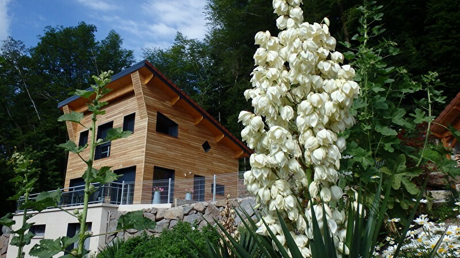 Villa Cora Venez- SPA privatif - Etat Neuf- Vosges du Sud