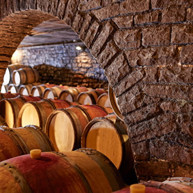 Domaine Besancenot - Vente des Vins 2025 : Dégustation Spéciale Vente de vins de Beaune (6 vins)